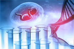 在[淄博]刚怀孕需要怎么做DNA鉴定，淄博产前亲子鉴定费用多少钱啊