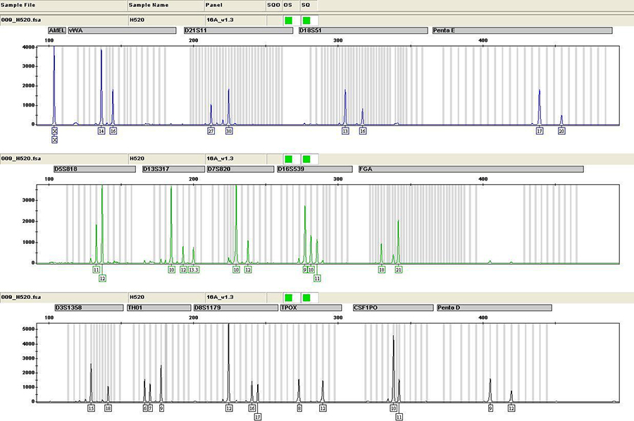 淄博哪个医院能做亲子鉴定,淄博医院做亲子鉴定办理流程指南