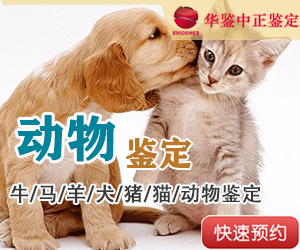 淄博动物鉴定
