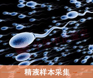 淄博精液样本采样
