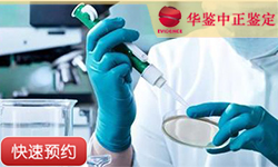 淄博同一父系亲缘鉴定